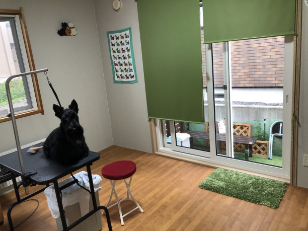 Diyでnew トリミング室工事 スコッチテリア ダイナマイトキッズ犬舎 Diyでnew トリミング室工事 スコッチテリア ダイナマイトキッズ犬舎
