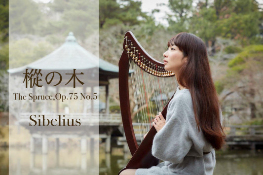 シベリウス 樅の木 宮本 あゆみ Official Web Site シベリウス 樅の木 宮本 あゆみ Official Web Site