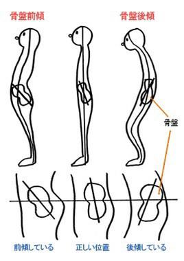 29 骨盤前傾は腸腰筋トレーニングで作る Ryo Kurokawa