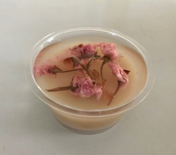 好き 好き 大好き 白あん 桜の花 Akanemaru News