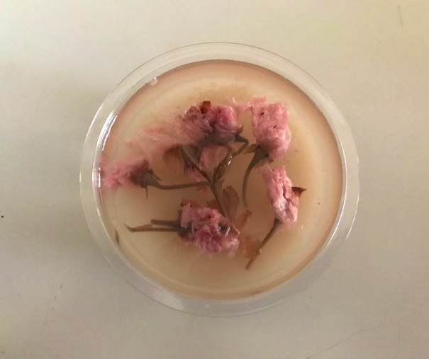 好き 好き 大好き 白あん 桜の花 Akanemaru News