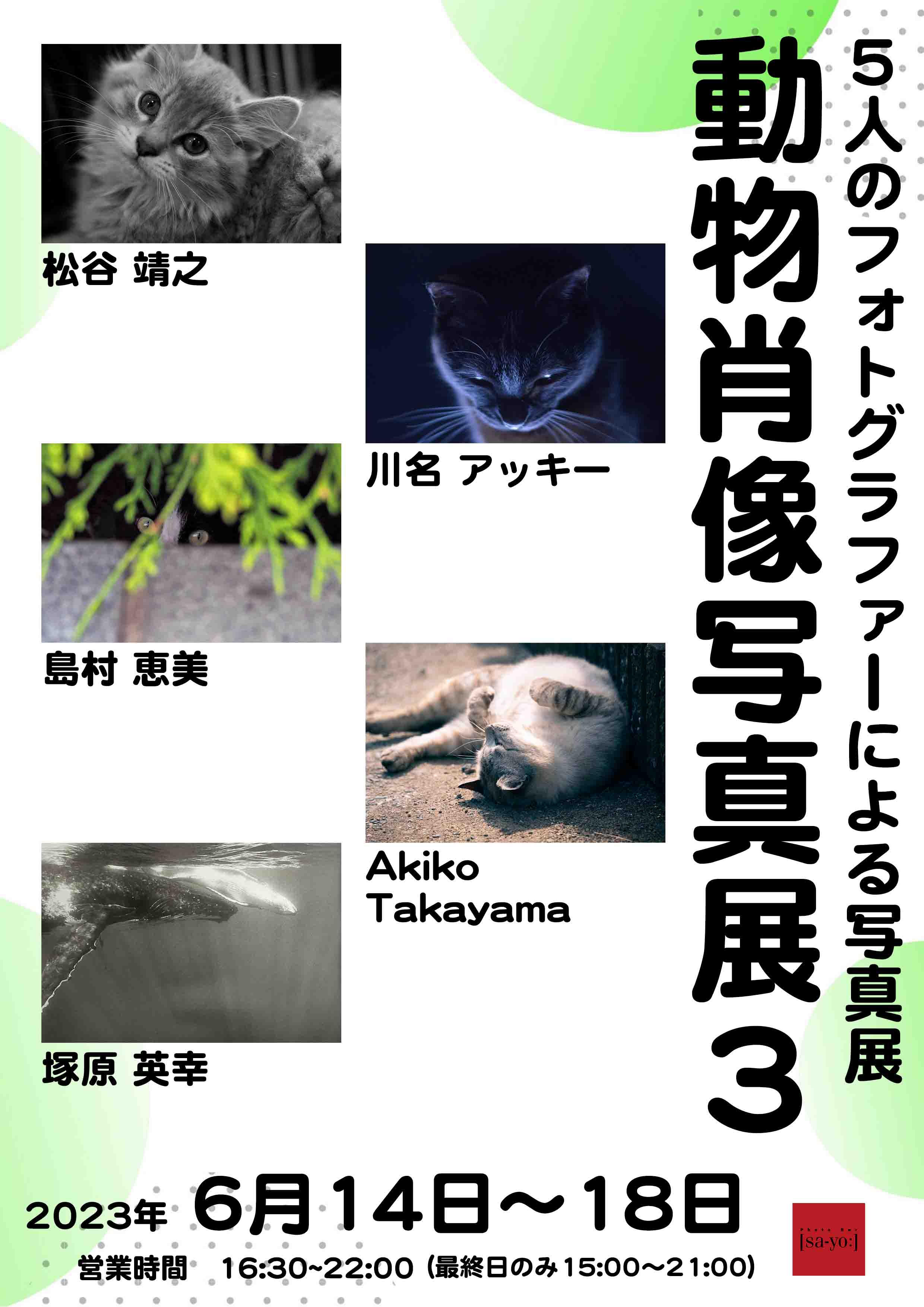 6月14日からグループ写真展「動物肖像写真展3」開催 | Photo Bar 【sa