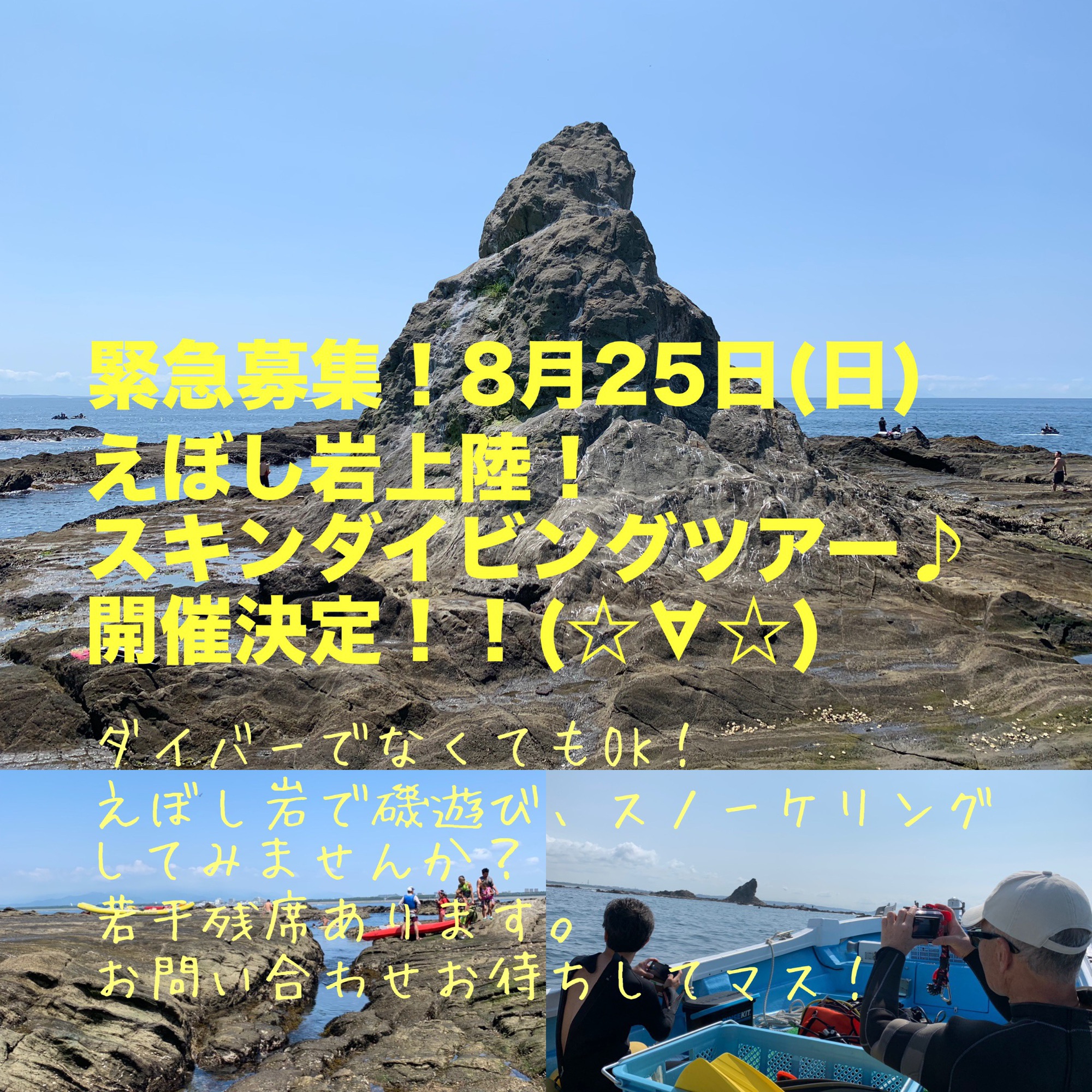 えぼし岩上陸ツアー開催決定 珠や潜水 えぼし岩ダイビング 伊豆海洋公園ダイビング