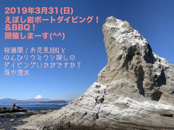 えぼし岩ダイビング開催決定 珠や潜水 えぼし岩ダイビング 伊豆海洋公園ダイビング えぼし岩ダイビング開催決定 珠や潜水 えぼし岩ダイビング 伊豆海洋公園ダイビング