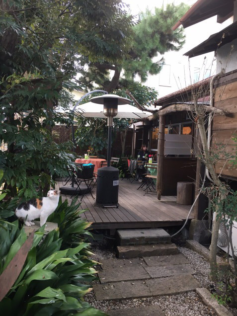 最後から二番目の恋 のロケ地へ Nakagawa Blog