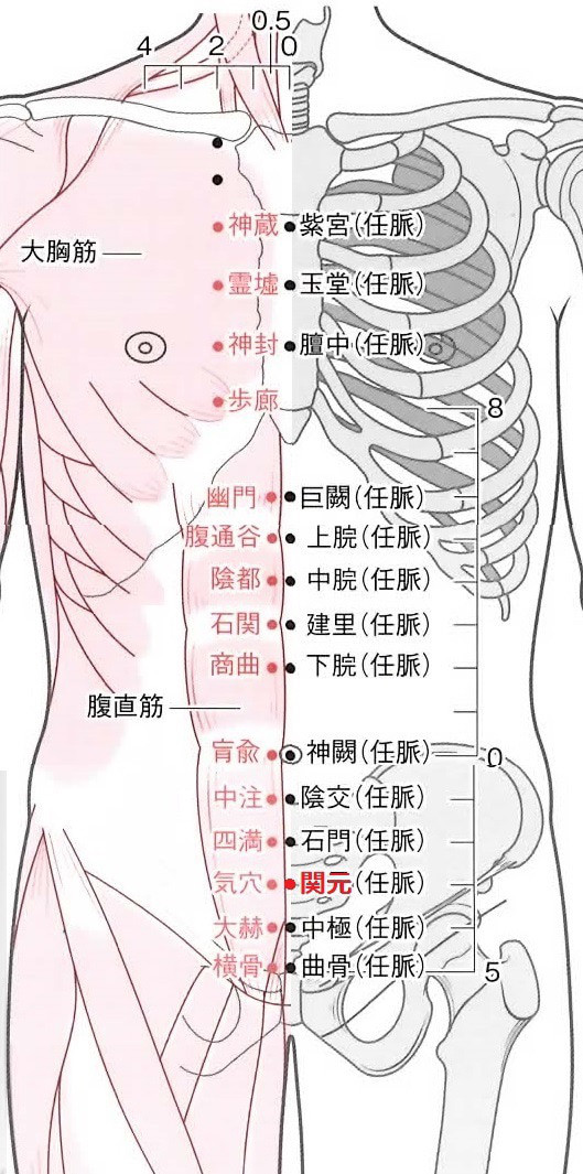 夏の終わりにおススメのツボ 女性鍼灸師による学術研究の知識を取り入れた鍼灸整体院