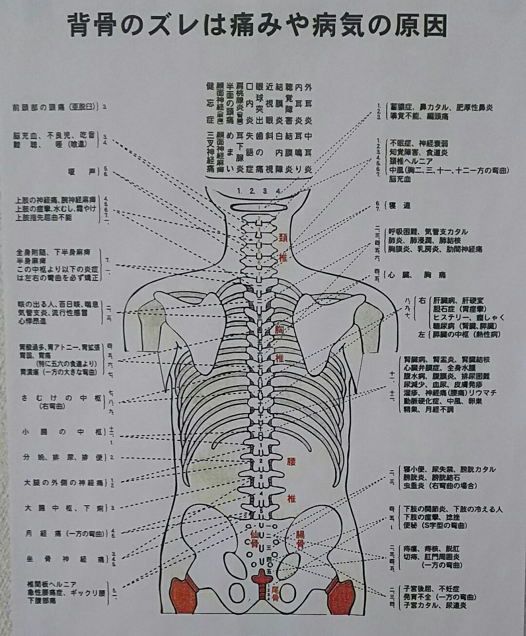 ddca71e70edd8bbdd700515832ad03