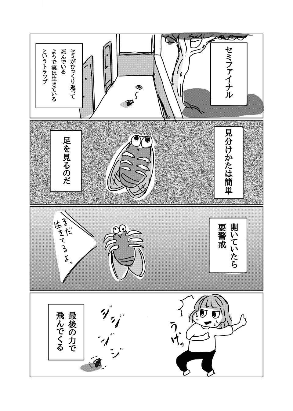 セミ ファイナル Sun And Moon セミ ファイナル Sun And Moon