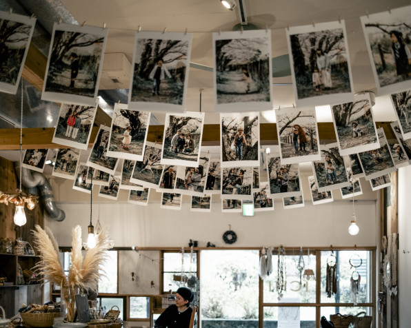 296 写真展「桜の季節」を開催しました | 二宮団地