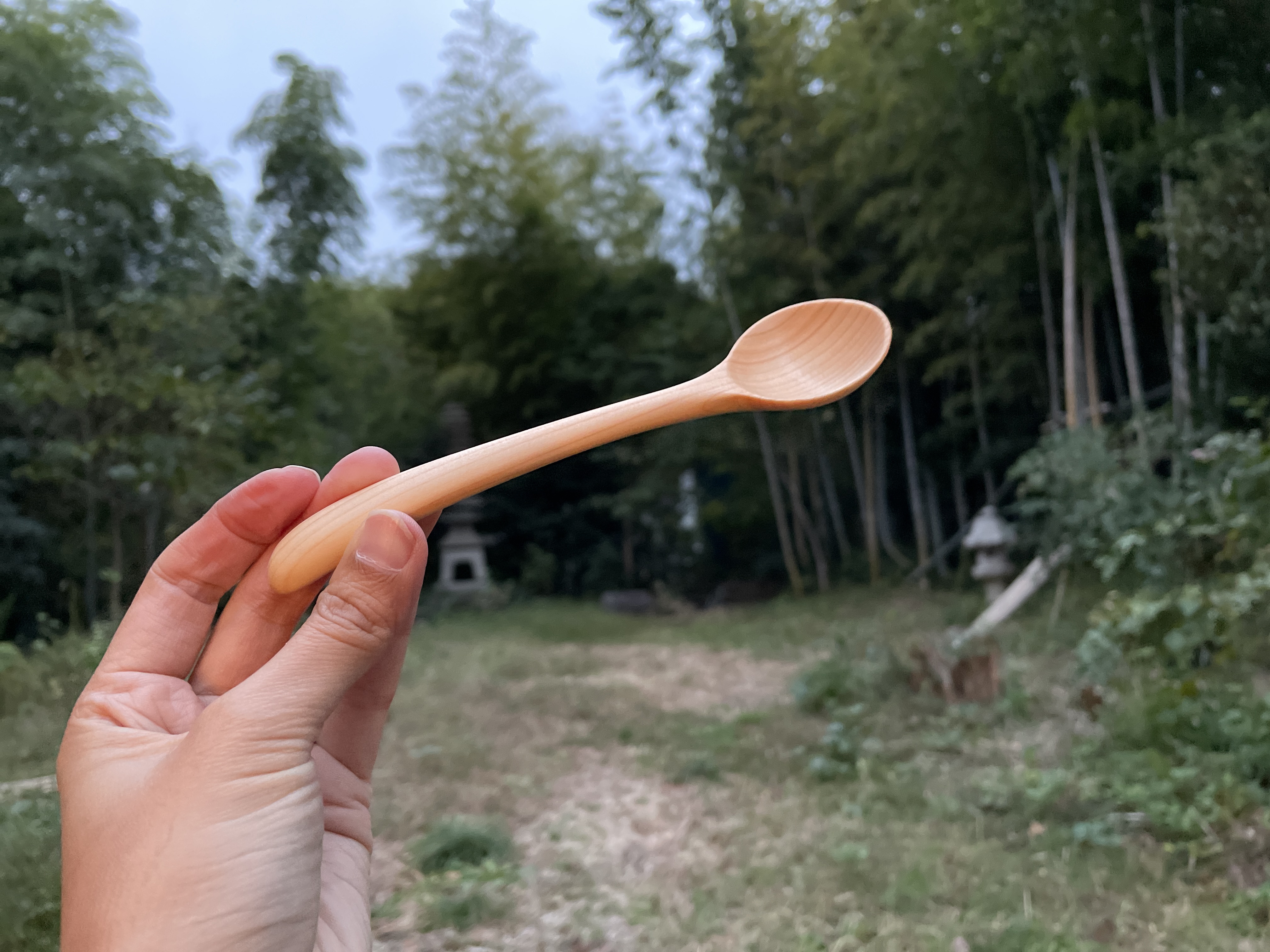 Spoon（スプーン）カタログ iisazy イイサジー spoon スプーン カトラリー 食器