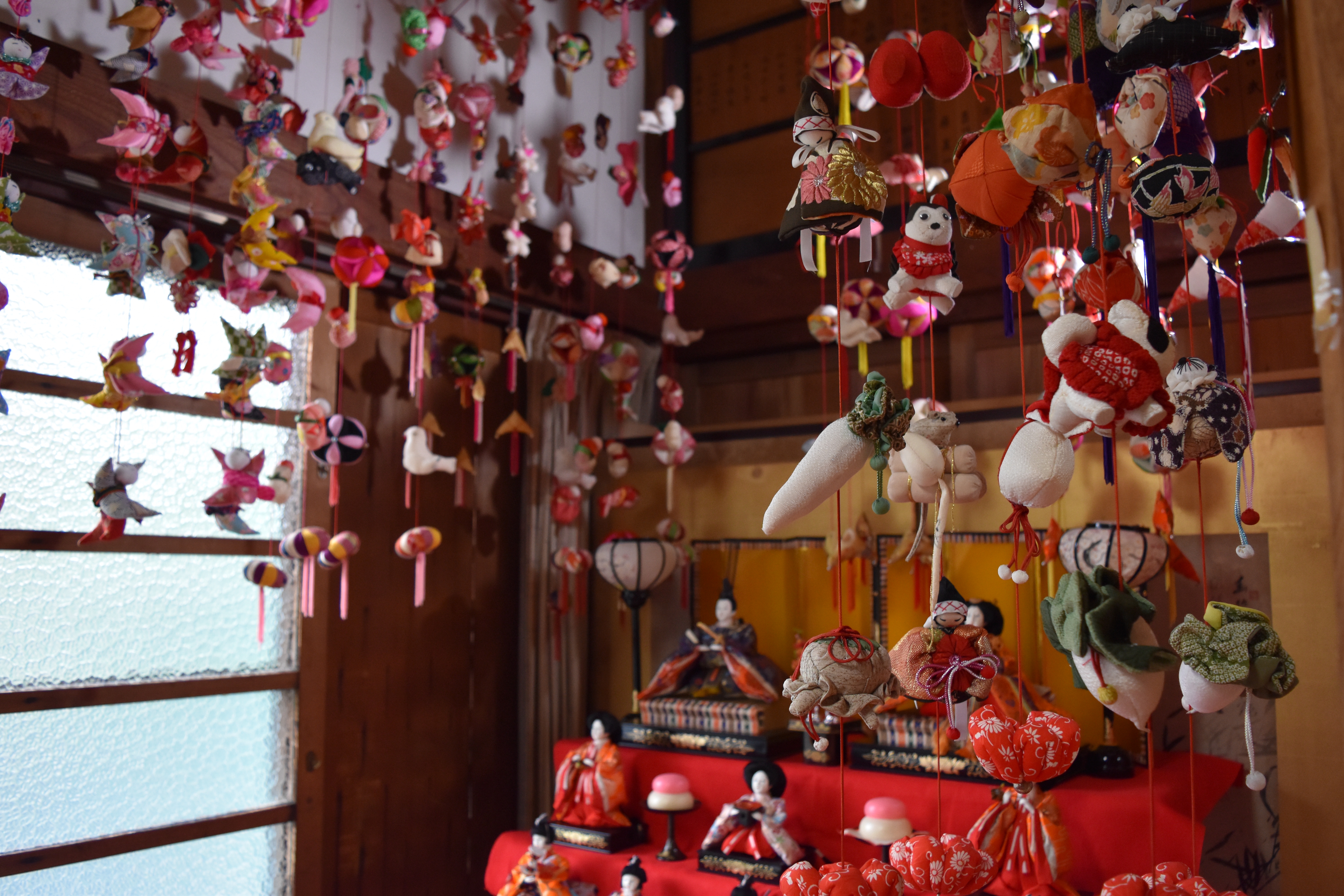 90 菜の花ウォッチングと雛の吊るし飾り展 | 二宮団地