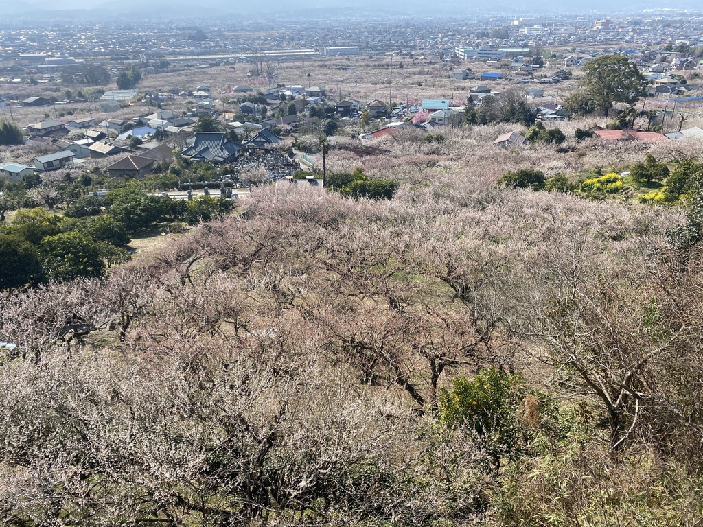 e18dc919c10cebe3b32e507aadf7a0