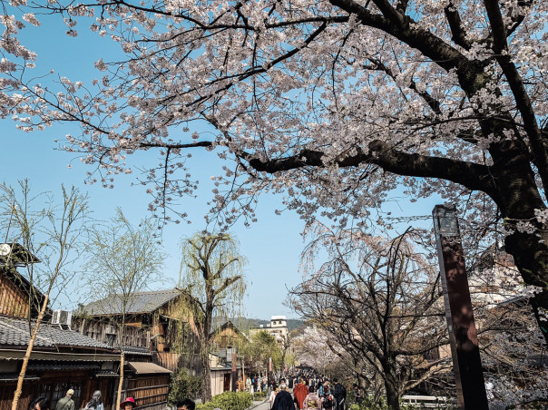 最近のアレコレ話 ブログ 宇宙人の奥さん