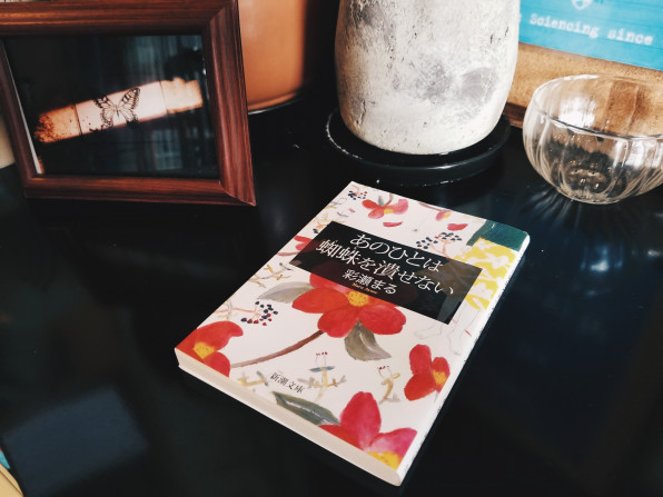 あのひとは蜘蛛を潰せない こなか