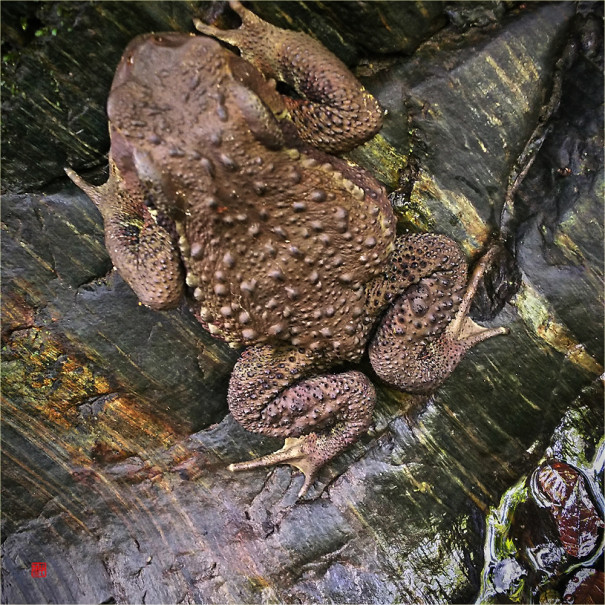 W君と釣り いわき市 貝泊写真館日記