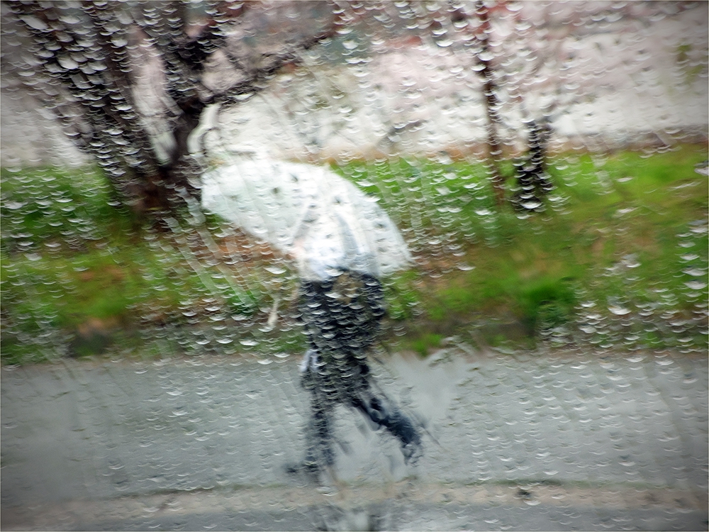 春の嵐 PHOTO ASK & ブログ貝泊写真館日記