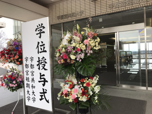 Kyowa Citylife Web