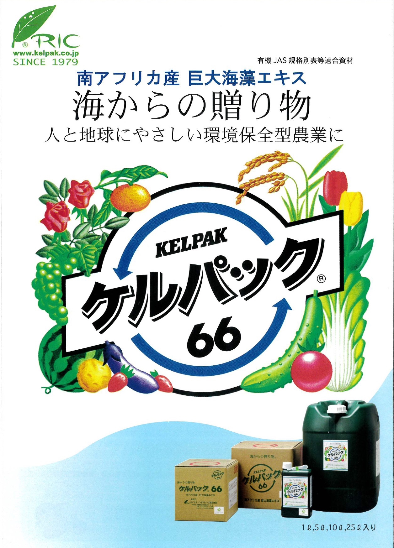 ケルパック66 | フクムラ