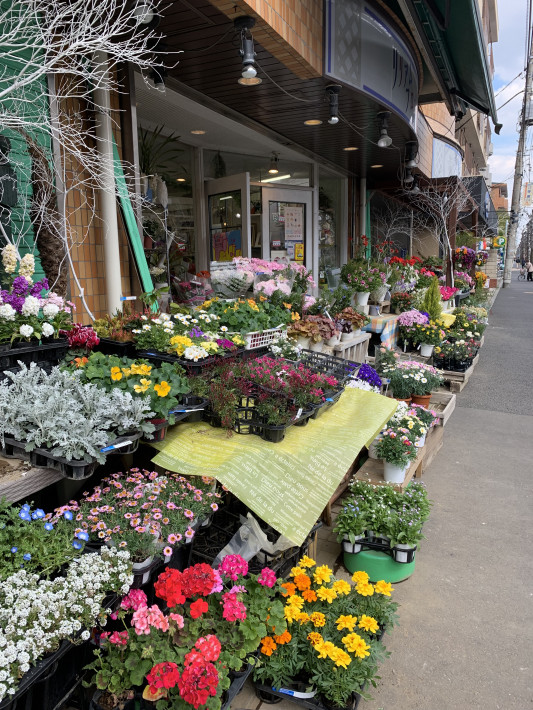素敵な花屋さん 楽しく フラワーアレンジメント 素敵な花屋さん 楽しく フラワーアレンジメント