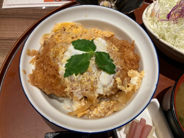 かつ丼一覧 かつ丼はうまい かつ丼を食べ巡る記録 極上の逸品を求めて