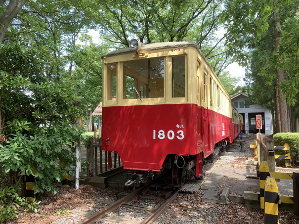 キハ3がなかよし鉄道にやってきた なつかしの尾小屋鉄道を守る会