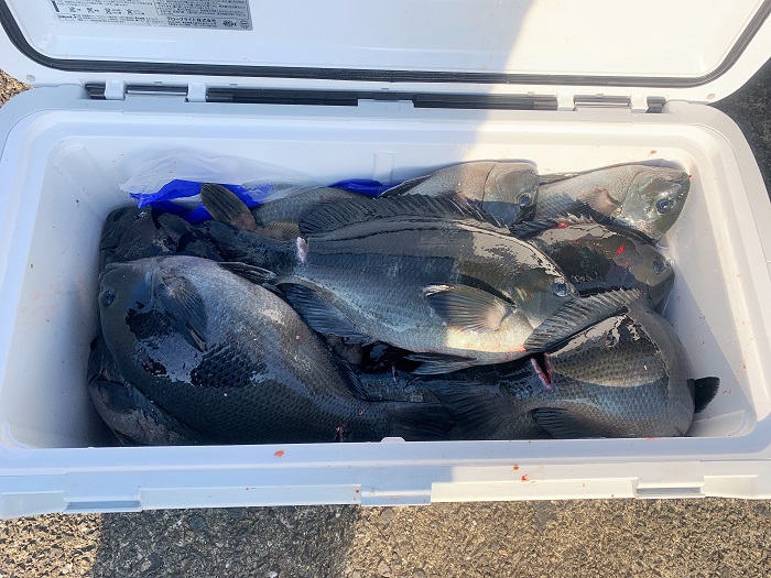 2020.1.11 加藤さん 長伸丸