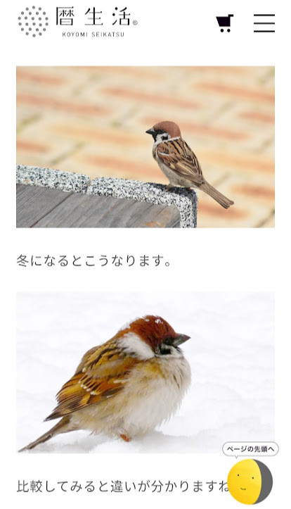 伝筆 ふくらすずめ 伝筆 想いを伝える 伝筆講師ゆう 伝筆 ふくらすずめ 伝筆 想いを伝える 伝筆講師ゆう