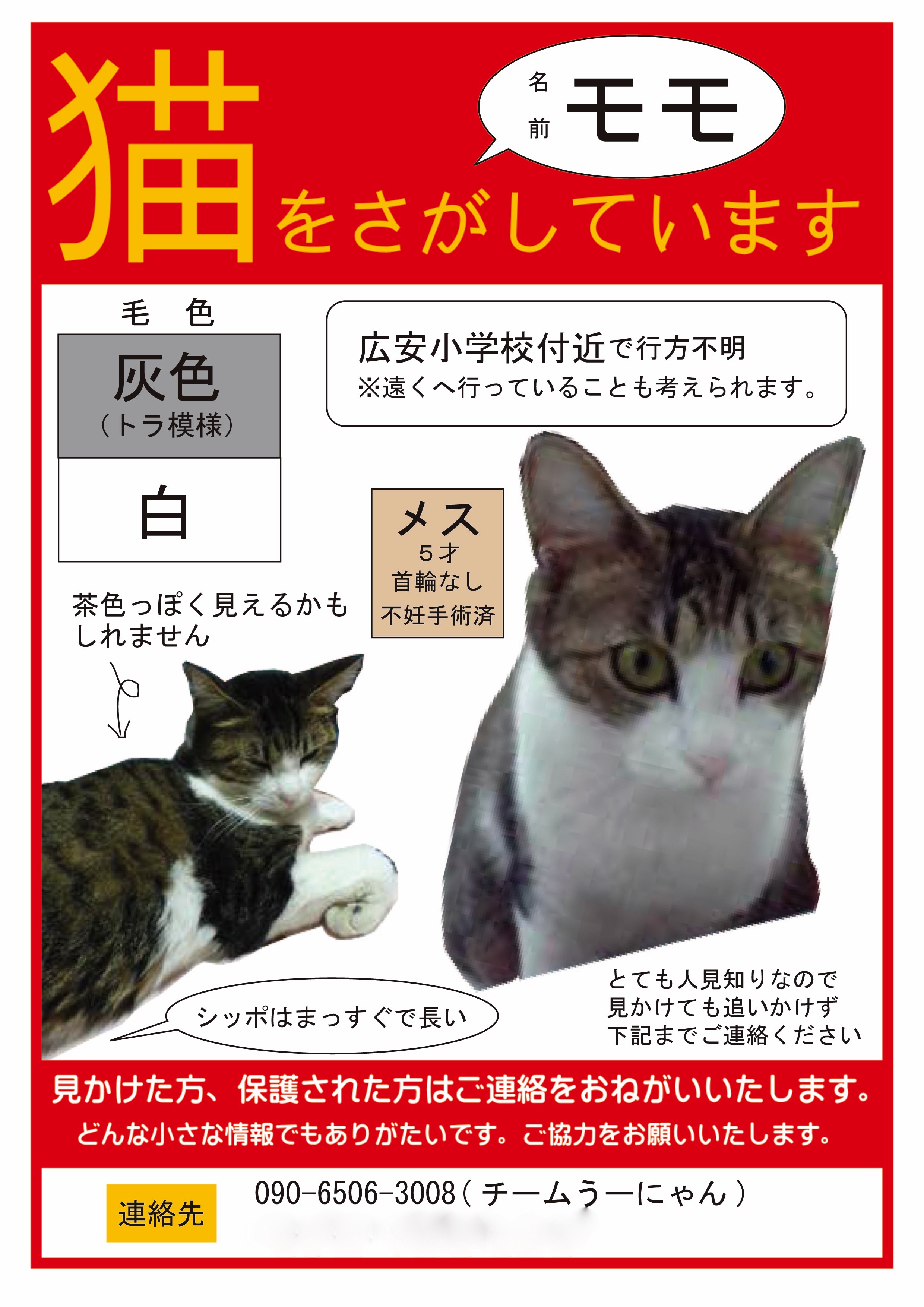 災害時の活動 災害時ペット捜索 救助 チームうーにゃん