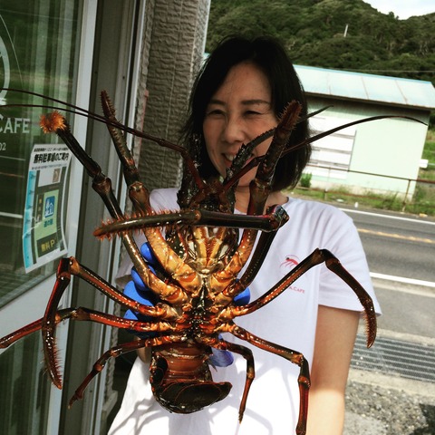 伊勢海老はく製 - その他