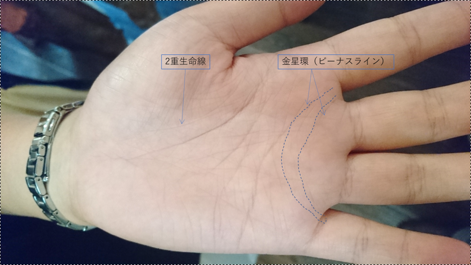 ビーナスライン 金星環 手相士いさじろう S Blog ビーナスライン 金星環 手相士いさじろう S Blog