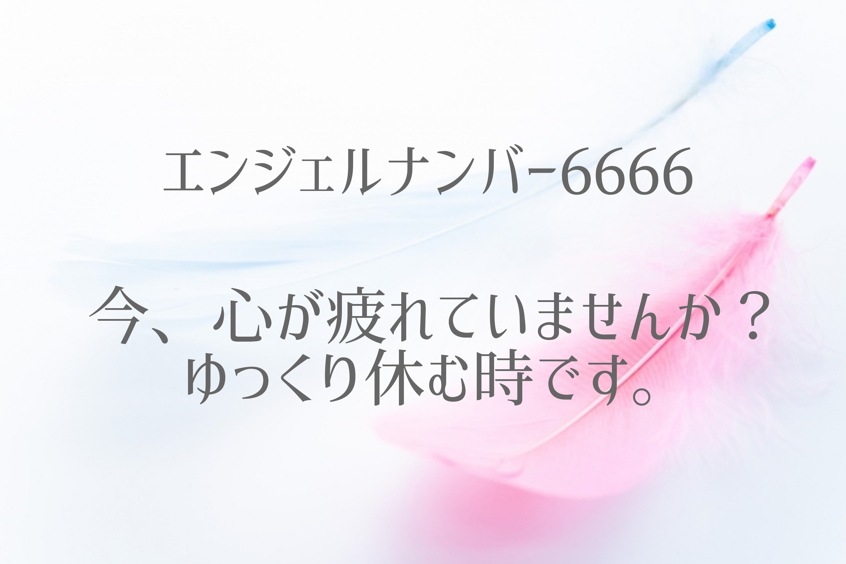 エンジェルナンバー6666 数秘カウンセラーsakura