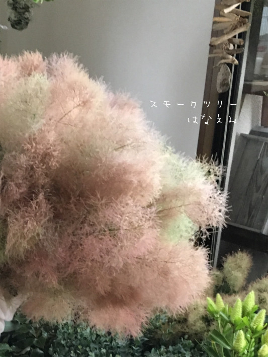 ふわふわスモークツリーの花かんむり❁⃘*.゜(お子様用) 凄まじい