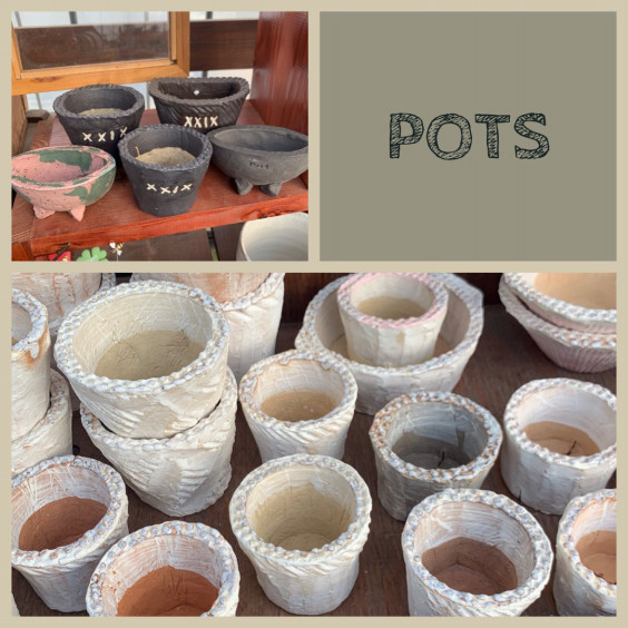 21 2 入荷情報 Pots鉢 Unica 栽培と販売の小さなビニールハウス