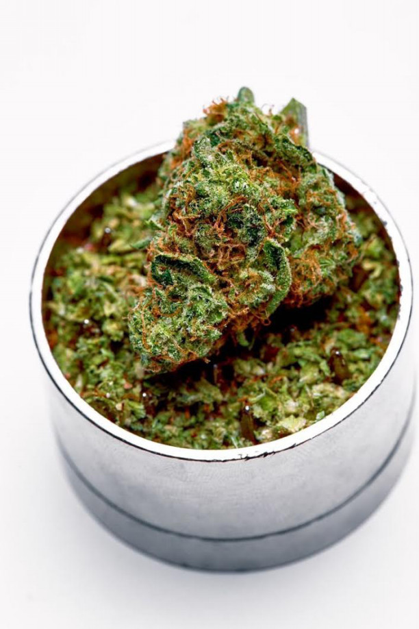 大麻の風味でわかる 効き目の違い Real Cannabis Magazine