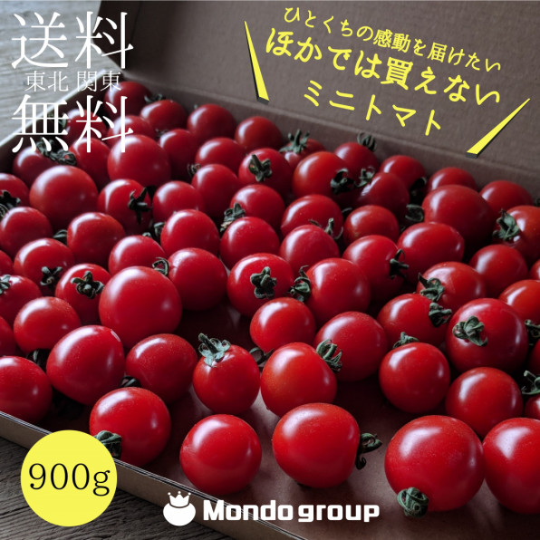 ミニトマト通販 1番人気ミニルック オンラインショップ開始 Mondo Group 公式 Hp ひと口の感動からすべてが始まった