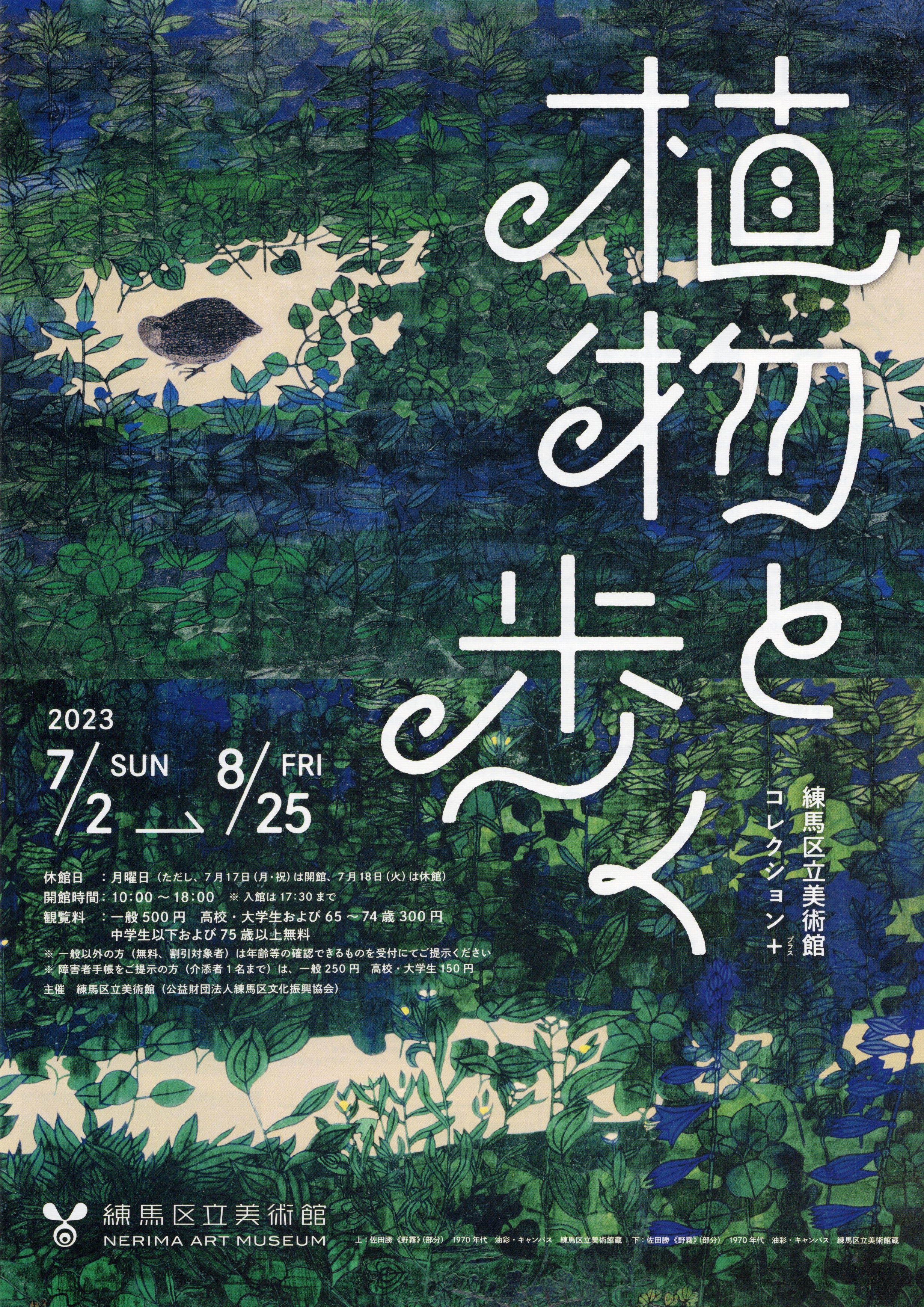tsunami plants mitsuko kurashina 倉科光子