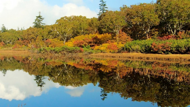 美し過ぎる 神仙沼の紅葉の水鏡 長沼 シャクナゲ沼 神仙沼 紅葉トレッキングツアー 19年9月30日 ニセコアンビシャス