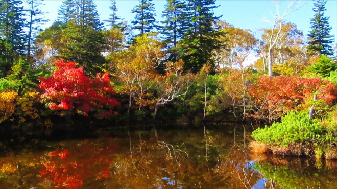 さあニセコの紅葉が始まりました 神仙沼紅葉トレッキングツアー 年10月8日 ニセコアンビシャス
