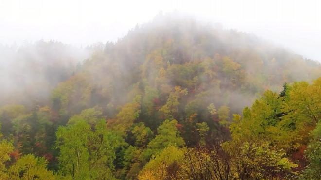 雨の日には定山渓の紅葉がきれいです 中山峠 奥定山渓 紅葉ツアー 19年10月19日 ニセコアンビシャス