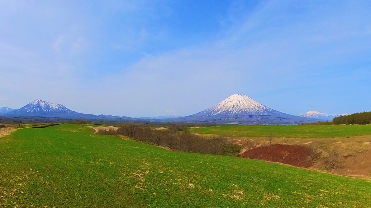 🌠 望春の花を探しに行きましょう ‼️ 羊の丘 蝦夷富士桜と、萩の里