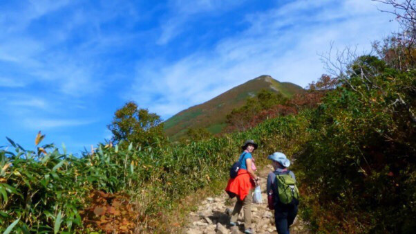 ニセコで１番早い紅葉の山へ ニセコアンヌプリ 紅葉トレッキングツアー ニセコアンビシャス