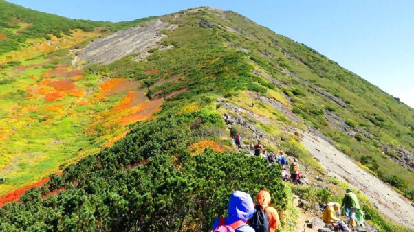 紅葉の羊蹄山に登ろう 羊蹄山 紅葉トレッキングツアー ニセコアンビシャス