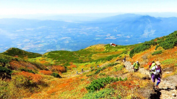 紅葉の羊蹄山に登ろう 羊蹄山 紅葉トレッキングツアー ニセコアンビシャス