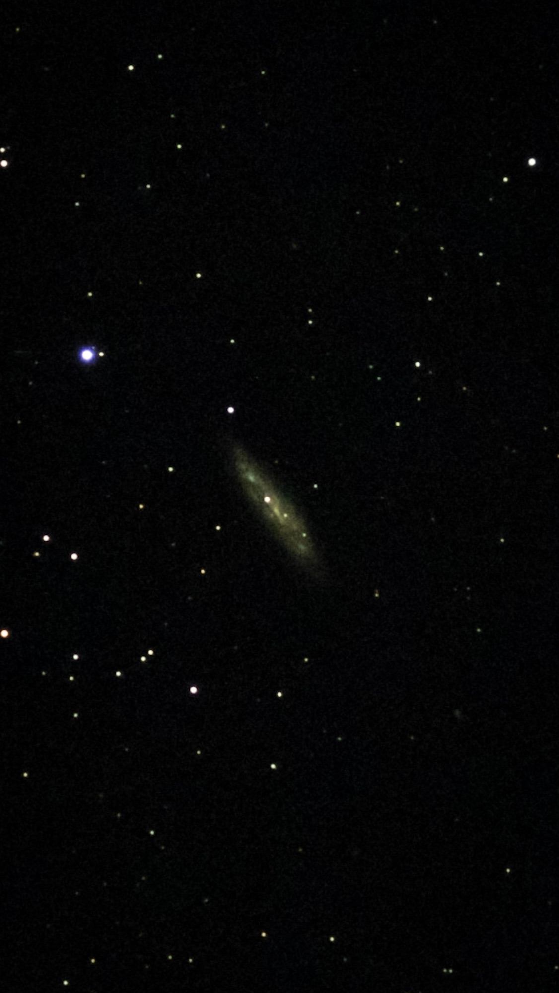 🆕 ポンス-ブルックス彗星が、美しい尾が引いてきました