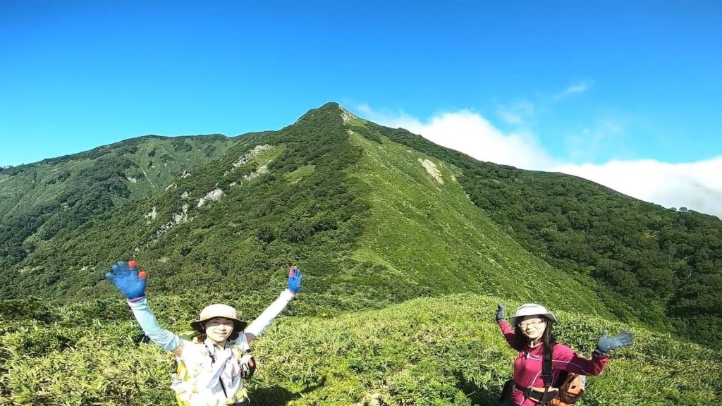 🌠 日本で1番のエーデルワイスの咲く山へ‼️ 大平山 フラワー
