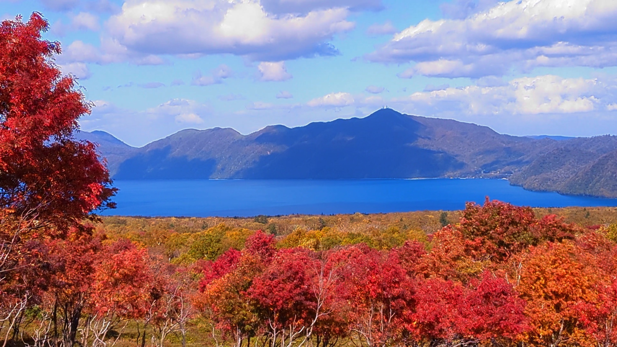 紅葉前線 2,000kmの旅【NHKスクエア限定商品】 楽天市場】エントリーで全品ポイント10倍紅葉前線 2,000kmの旅
