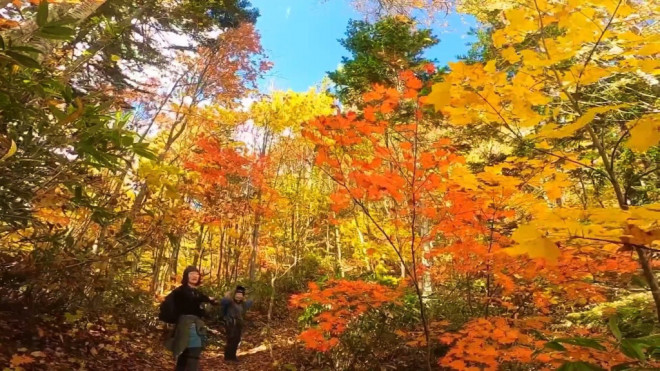 全山錦模様の紅葉の隠れた名峰 定山渓子天狗岳 紅葉 トレッキングツアー ニセコアンビシャス
