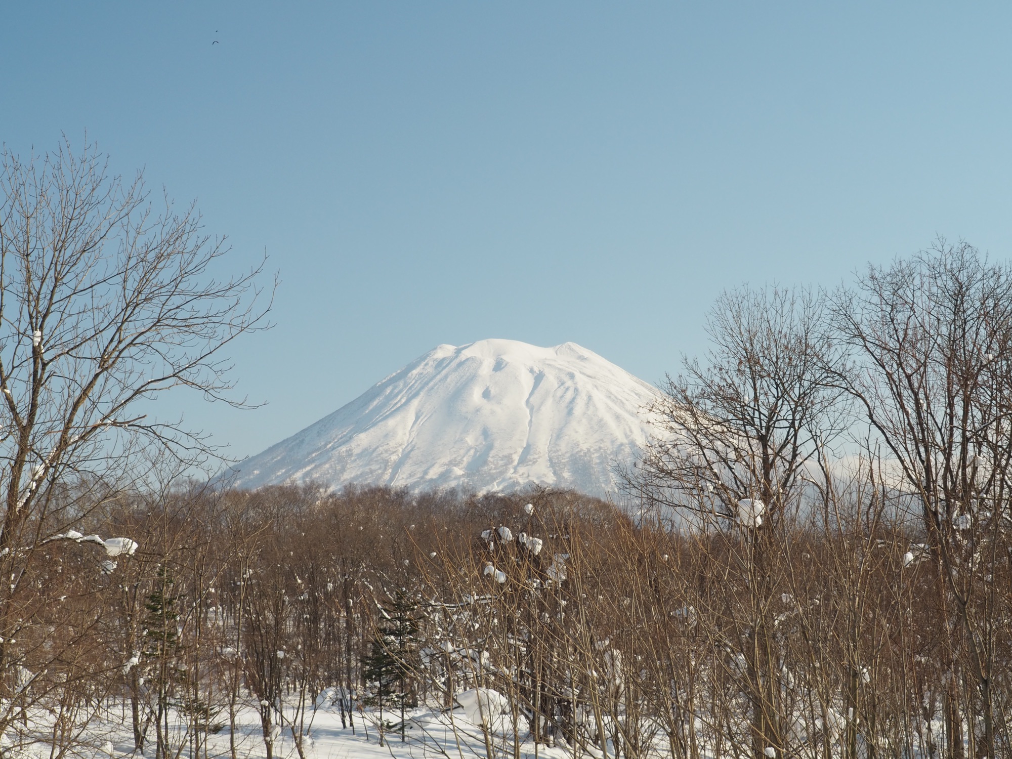 ニセコ 全 山 共通 よくばり オファー パック