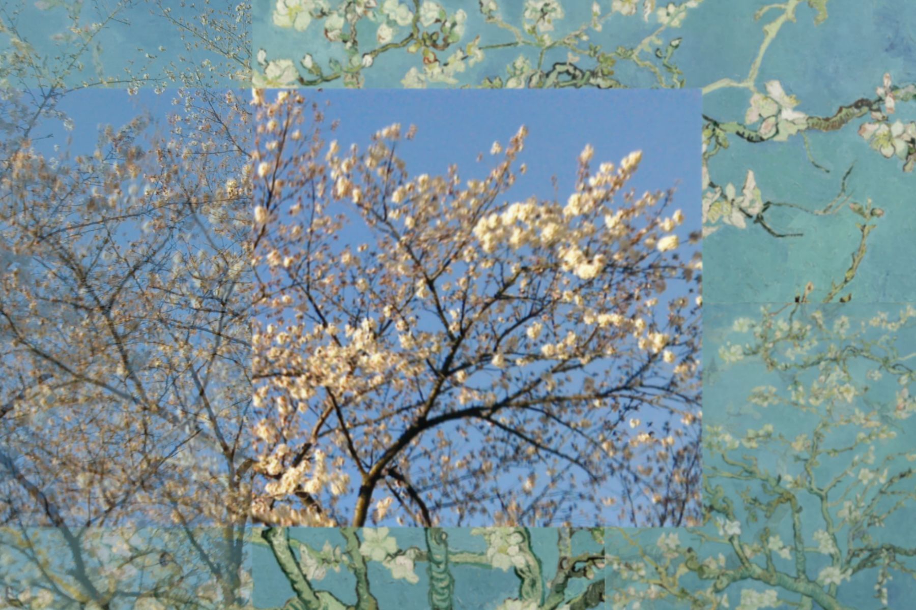 桜とゴッホの「花咲くアーモンドの木の枝」 | Sotto Voce