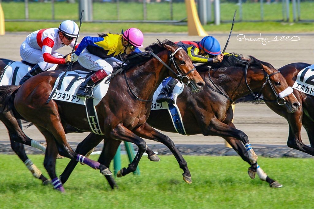 競馬を予想する際、特に重視したい項目 ものさしKEIBA